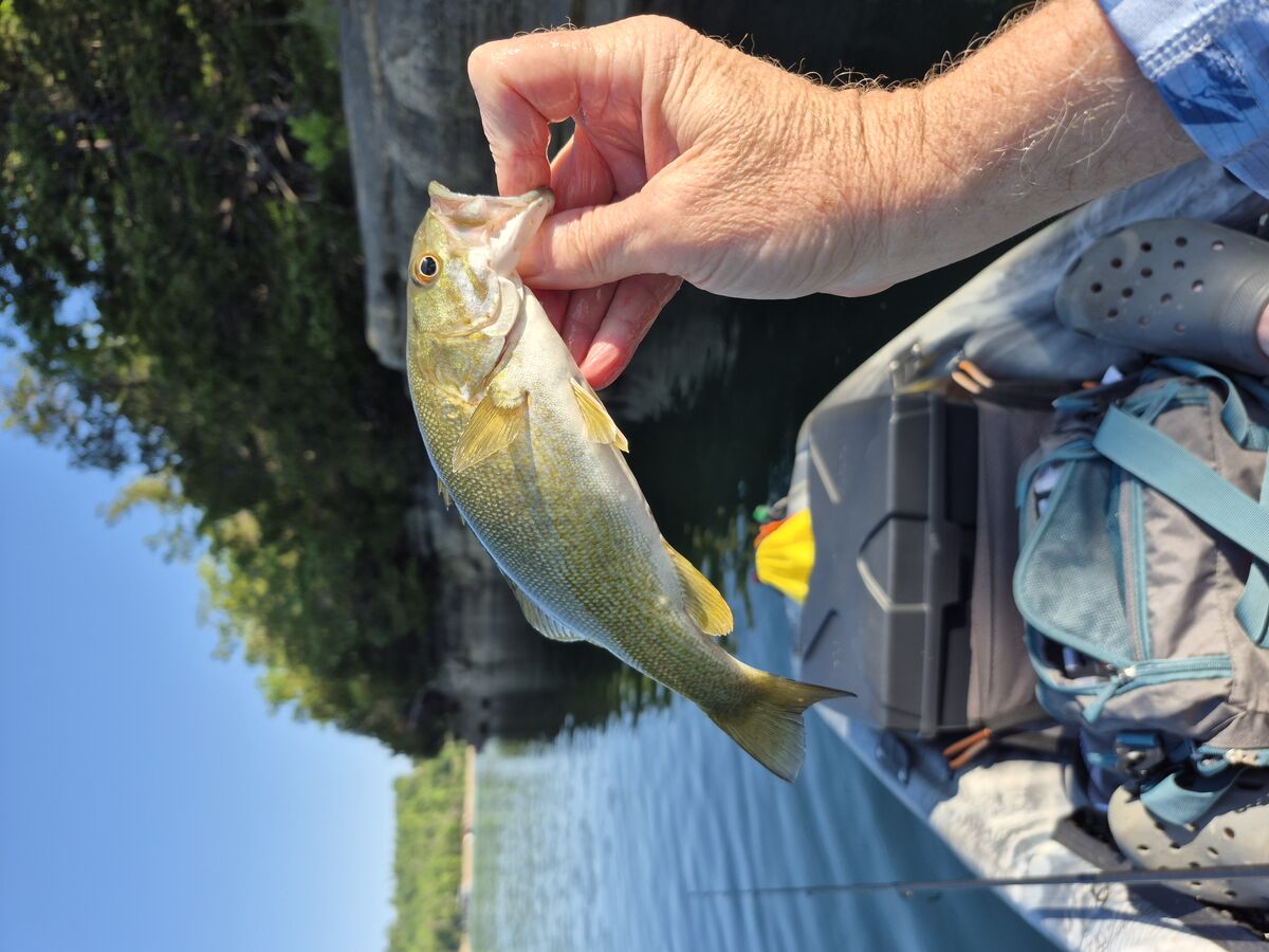 Fishing on Beaver Lake was fun and productive